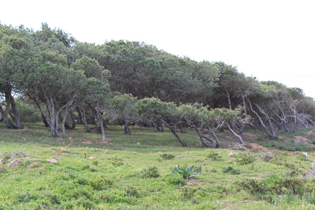 Villa Boa Vista Sul - Terra Da Eira - Raposeira Vila do Bispo Exterior photo